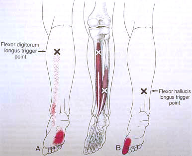 Paragon Physiotherapy located in Winnipeg, Manitoba